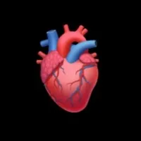 original sound - carta_abertaamor