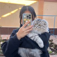 nanaxonn