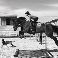 fanof_horses