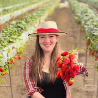 casadomorangojessica