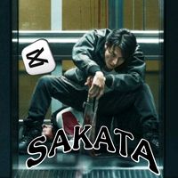 sakata.edits