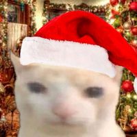 isabella_realface