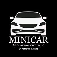 minicar.sv