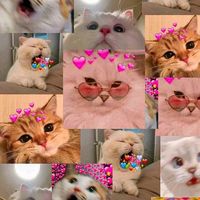 user1215216191032