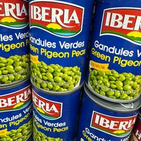 allthingstelevision867