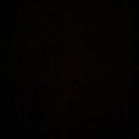 edvin.17