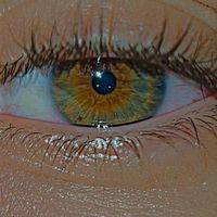 tweets_algeria06
