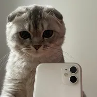 original sound - rayen__4real