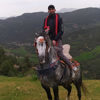 kami.mohamed