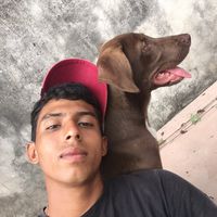 ajfs8