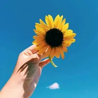 original sound - vanessaelizabeth28