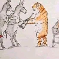 misigo_