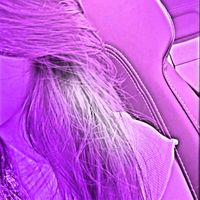 v4mp.luhzxs