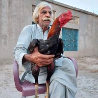 ustadbasherlover254717