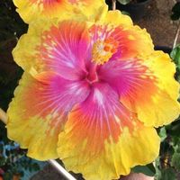 environmentaldefenseclub