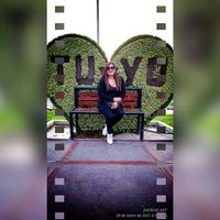 meryticona12