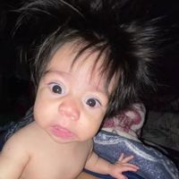 josi.366