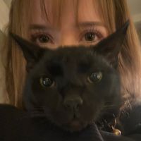 anabeast222