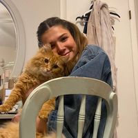 dillpicklepotatochip1