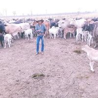 marcialrolon955