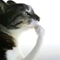 Мужчины которые..