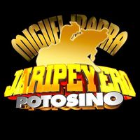 jaripeyero_potosino
