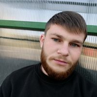 dima.catur