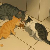 surigatos.officia