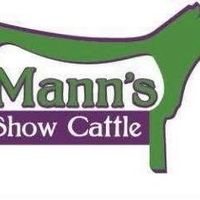 mannsshowcattle