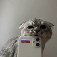 original sound - nika09.ff