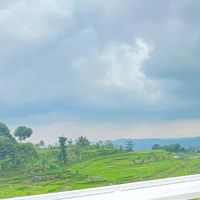 suara asli - meiii🦖