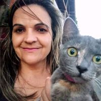 camalheaoadoasfalto80