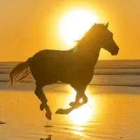 Lambada Kaoma Remix byMarcel