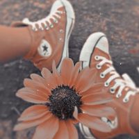 pr3ttyy..val