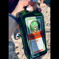 uuseer691709