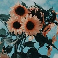 summeraethetic2
