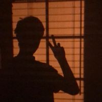 windowscenes