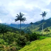 original sound - wepe_natural