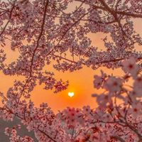horreredits_0