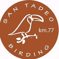 san_tadeo_birding