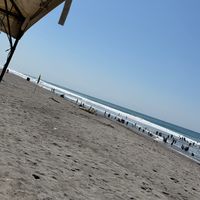 www.tiktok.commarisol47