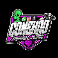 cone.xaofemininacristais