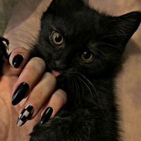 liy_175