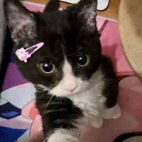 michelle_lop_fernandez8