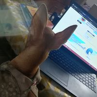 nathalytorres28