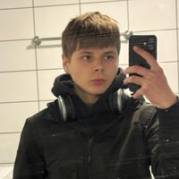 the_stexis
