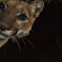 youranonymousdramaqueen