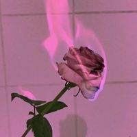 ava_gagnier