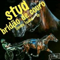 bridaodecouro71
