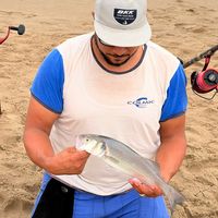 hichamakram82